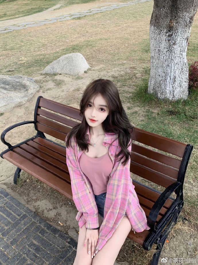 风骚律师